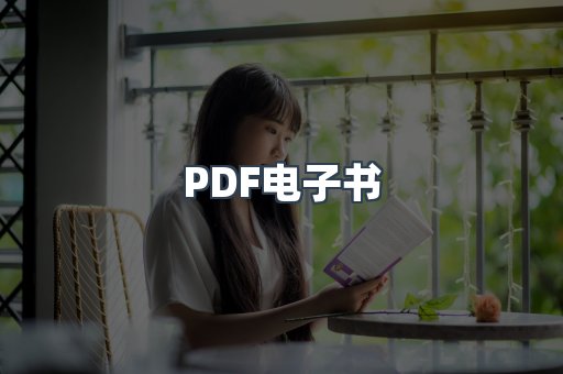 PDF电子书